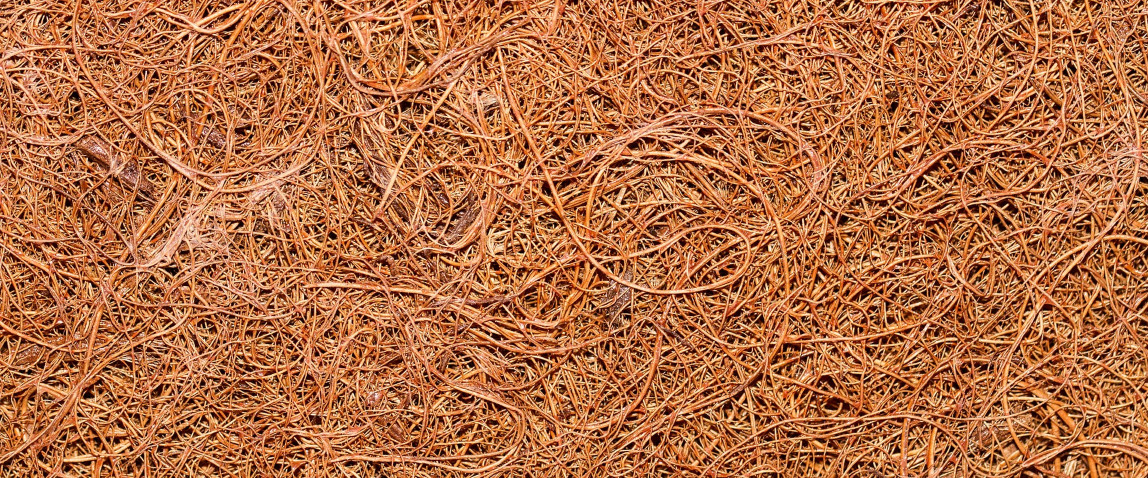 Best manufacturers of traditional Sri Lankan coir fiber and products for export