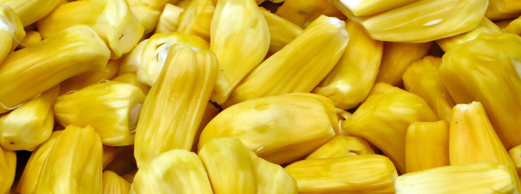 Waraka Jackfruit in Sri Lanka